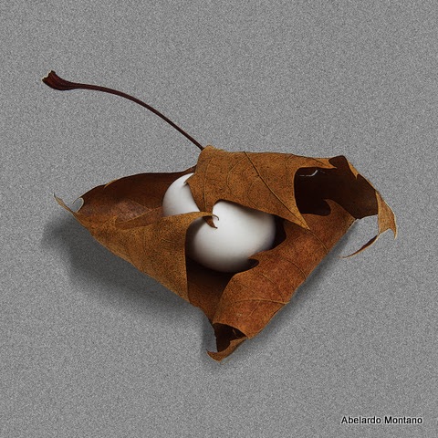 Digital Photography embrace original.jpg