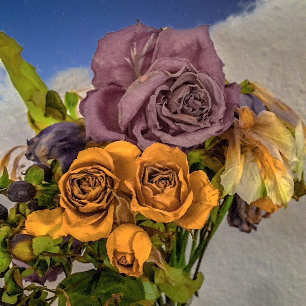 Digital Photography img 1381 original.jpg