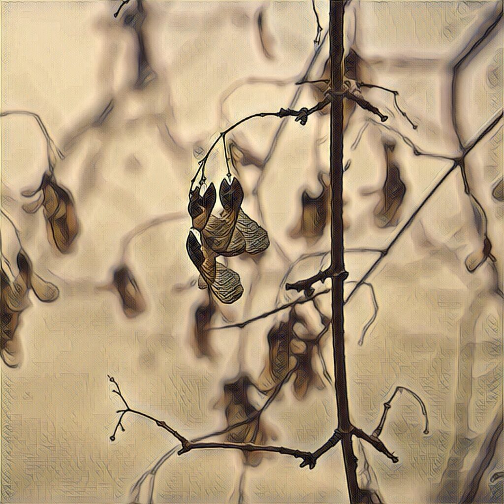 Digital Photography img 2028 original.jpg