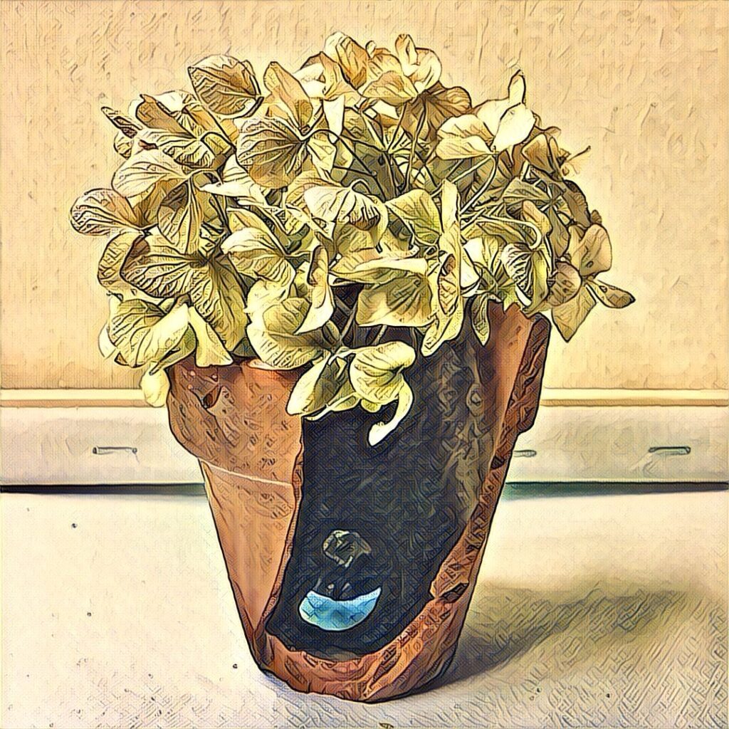 Digital Photography img 3623 original.jpg