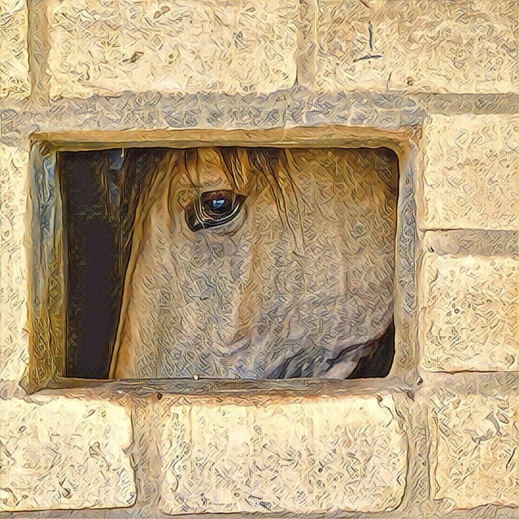 Digital Photography img 3699 original.jpg