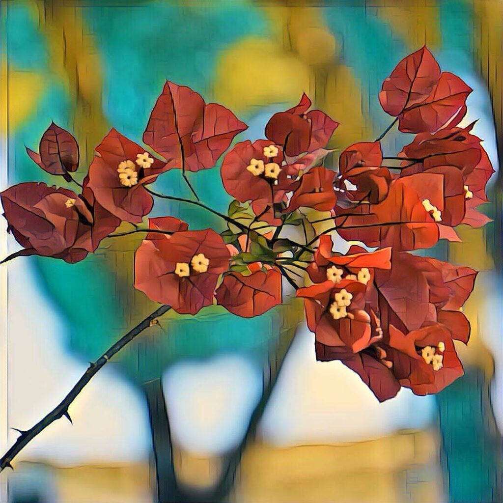 Digital Photography img 3709 original.jpg