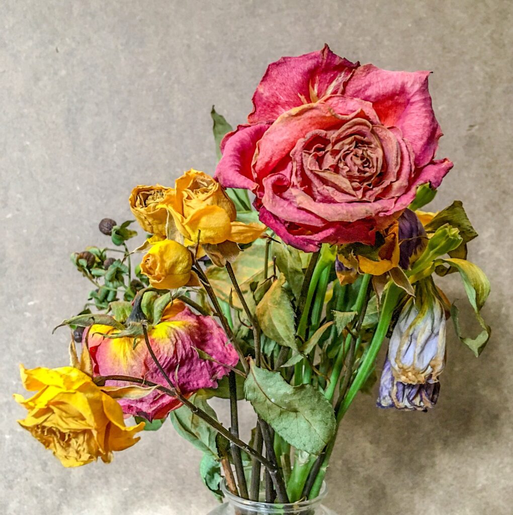 Digital Photography img 3775 original.jpg