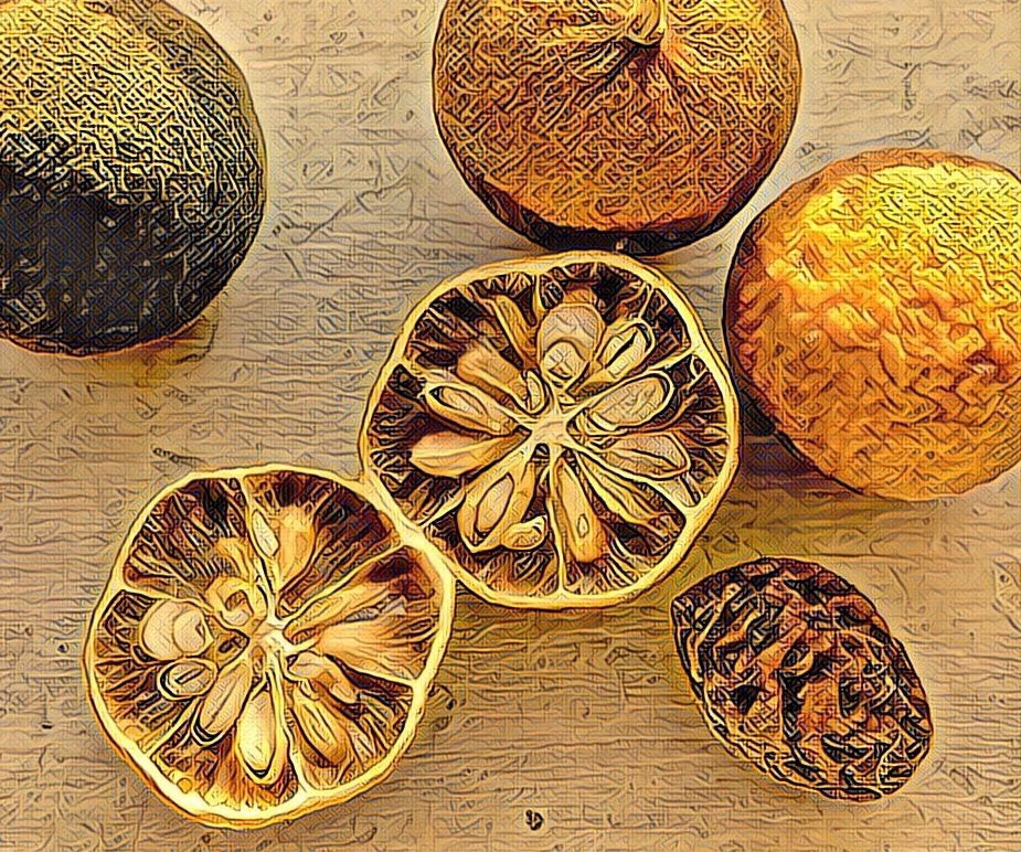 Digital Photography img 5200 original.jpg