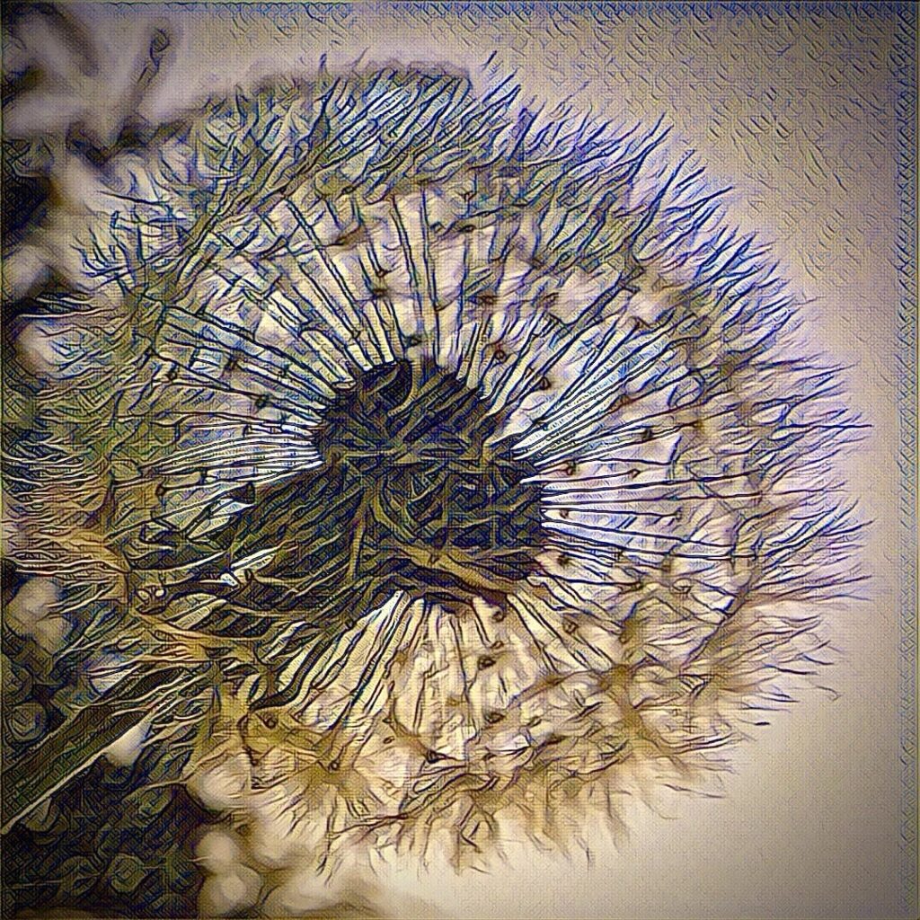 Digital Photography img 6999 original.jpg