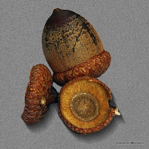 Digital Photography trio original.jpg